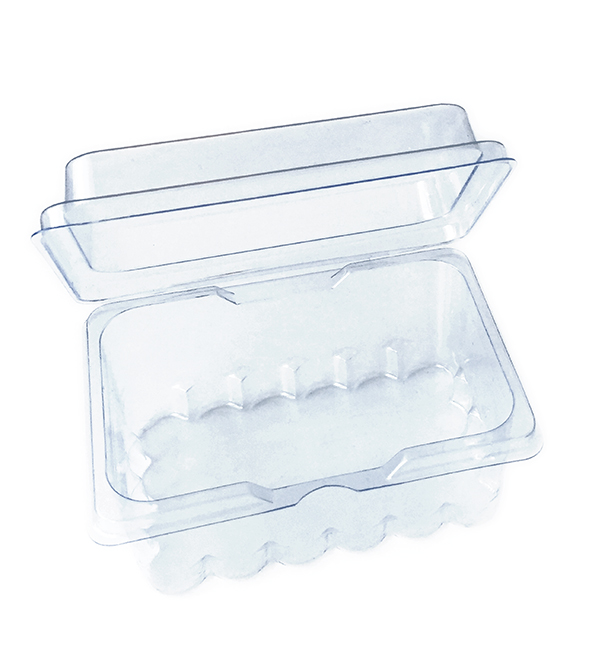 CAMELION Plastik Box für 24x AA / LR6 PB24