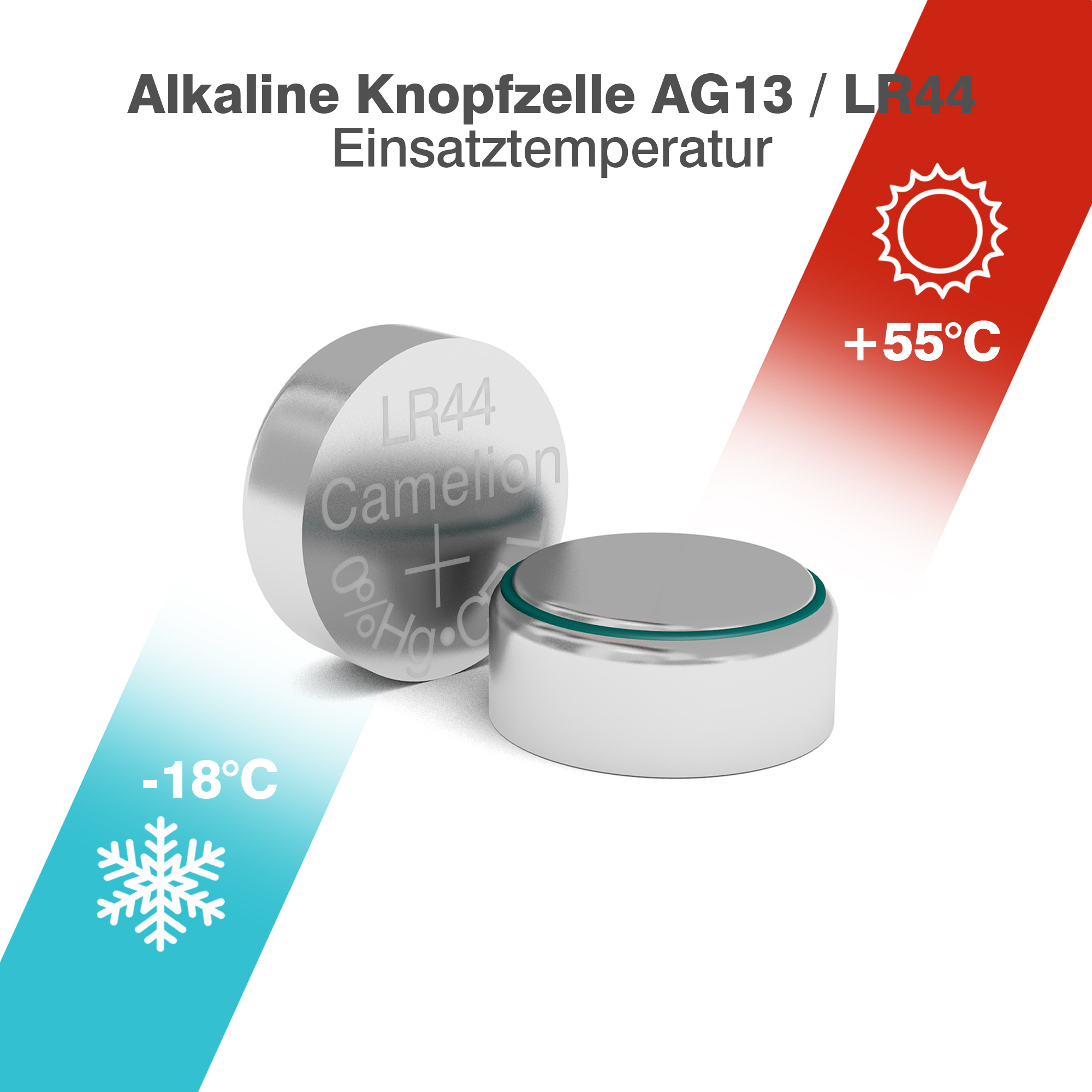 CAMELION AG13 Button cell 
BP10