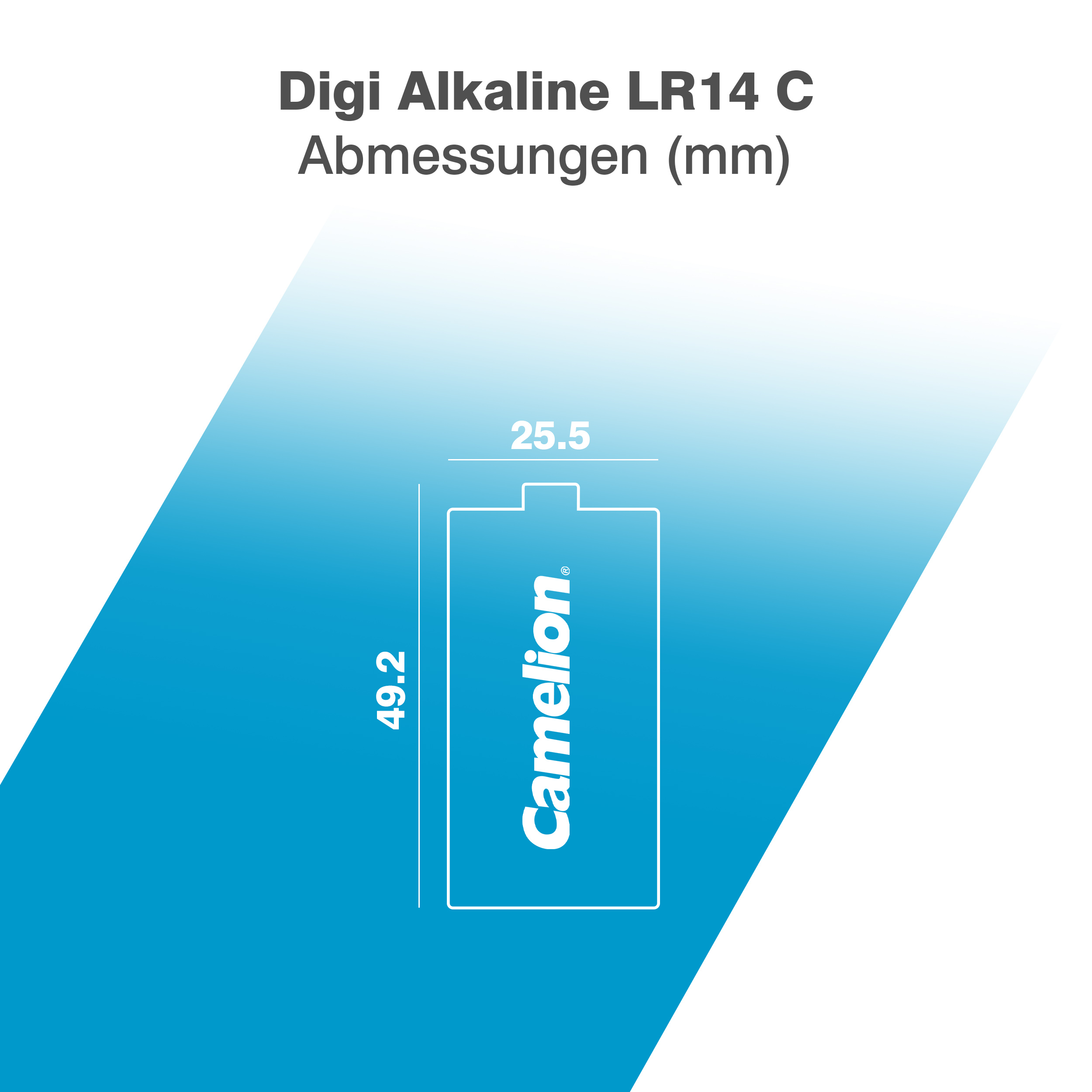 CAMELION Digi Alkaline C/LR14 BP2 CAMELION Digi Alkaline C/LR14 BP2