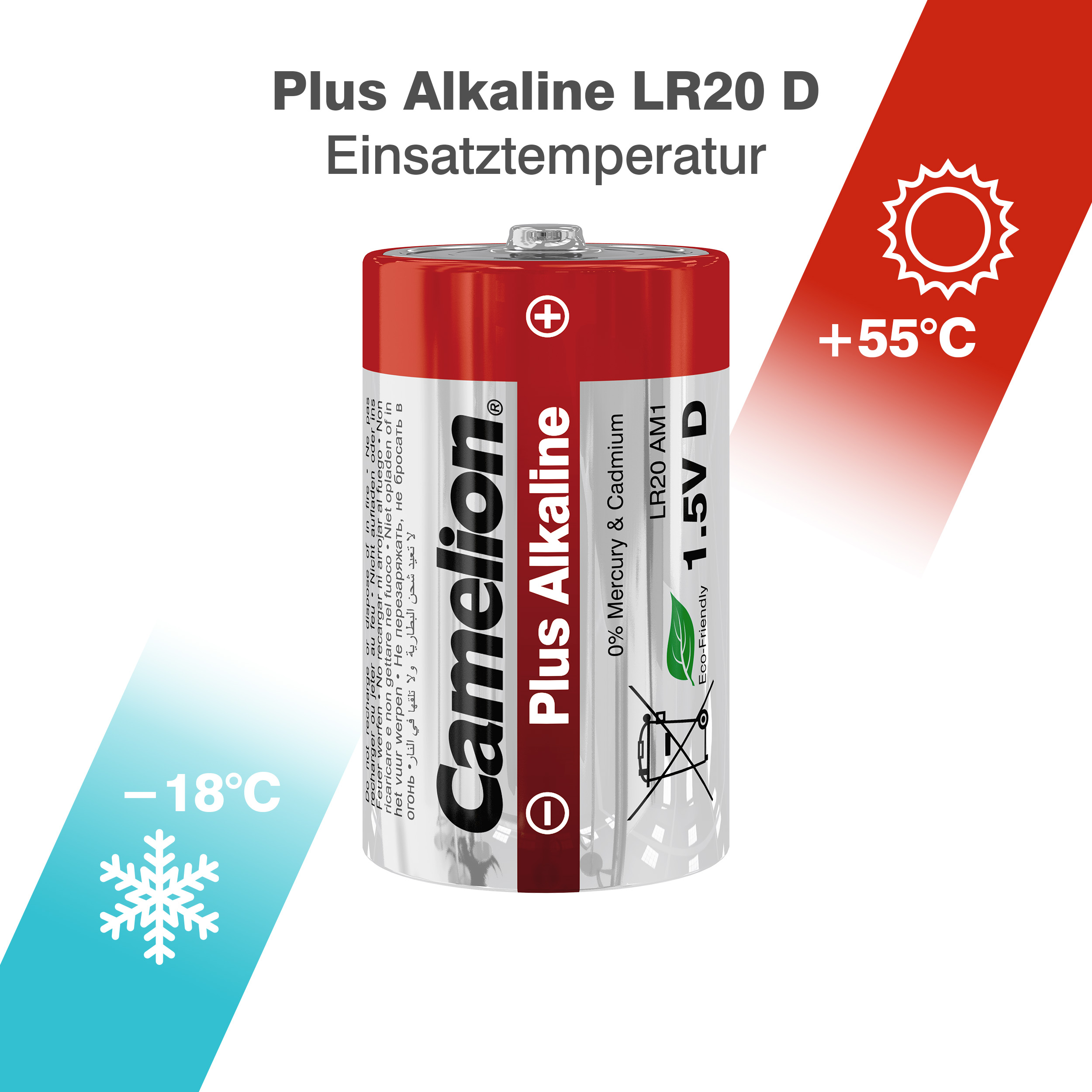 CAMELION Plus ALKALINE D/LR20 
SP2