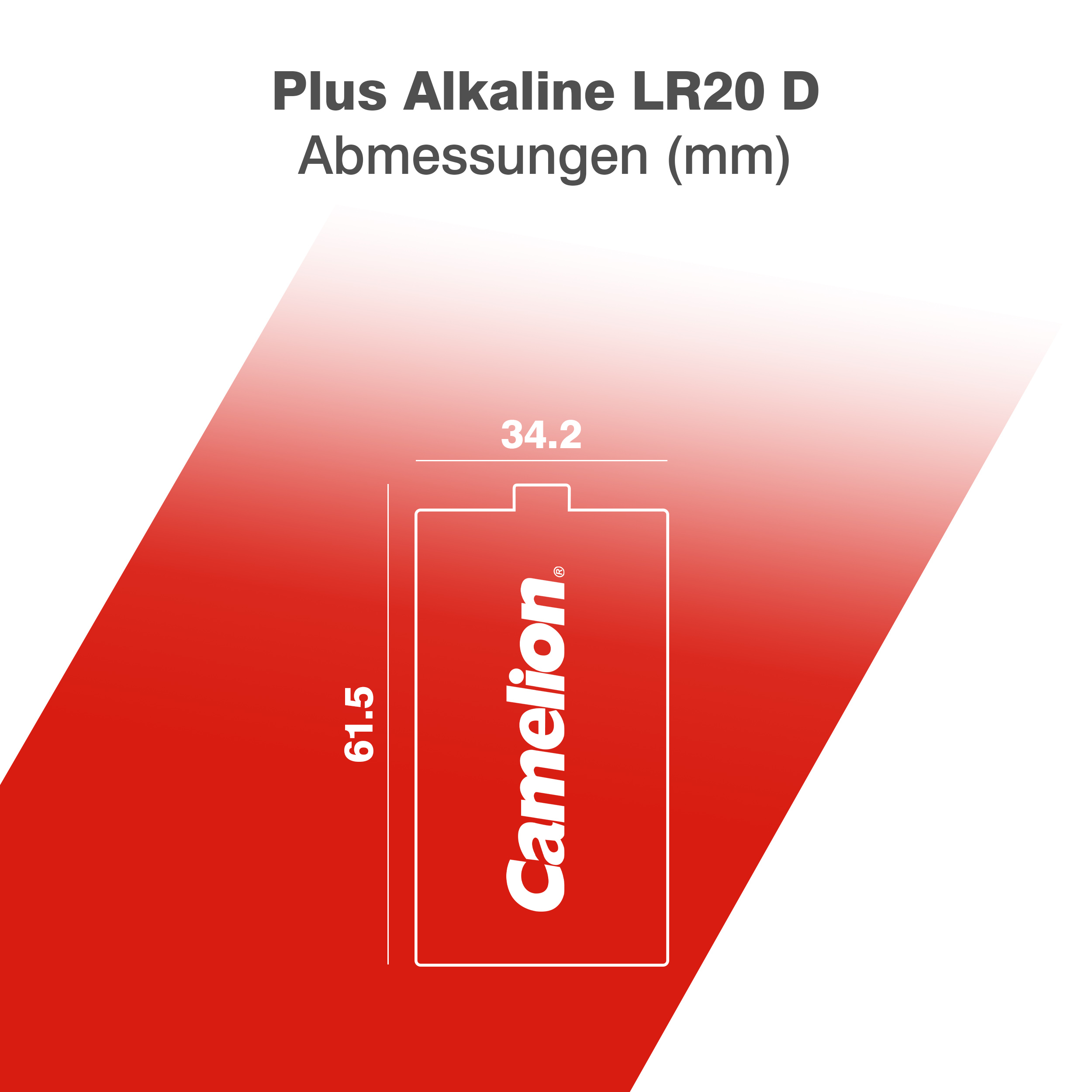 CAMELION Plus ALKALINE D/LR20 
SP2