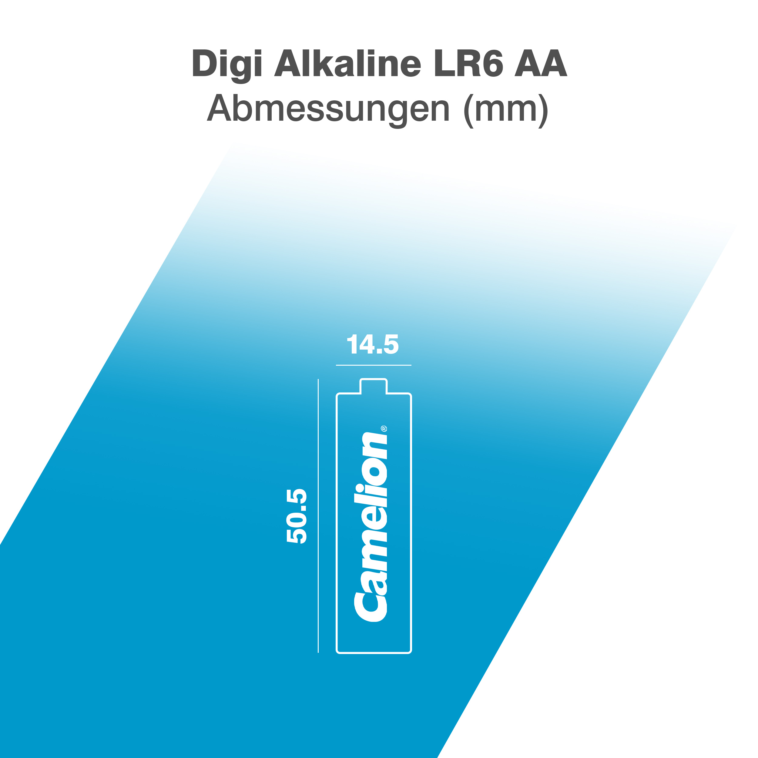 CAMELION Digi Alkaline AA/LR6 BP2