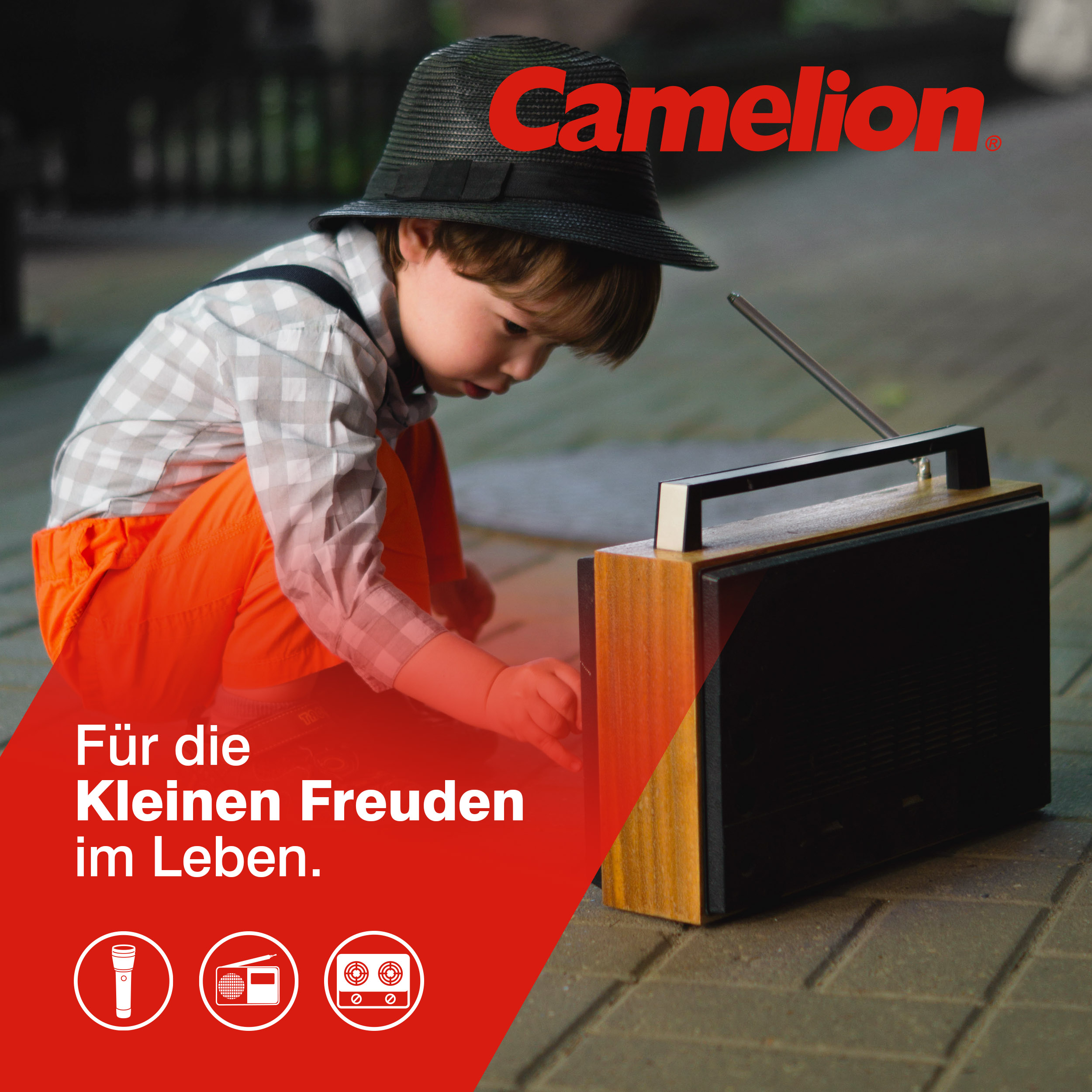 CAMELION Plus ALKALINE D/LR20 
SP2