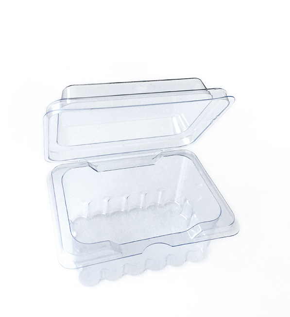 CAMELION Plastik Box für 24x AAA / LR03 PB24